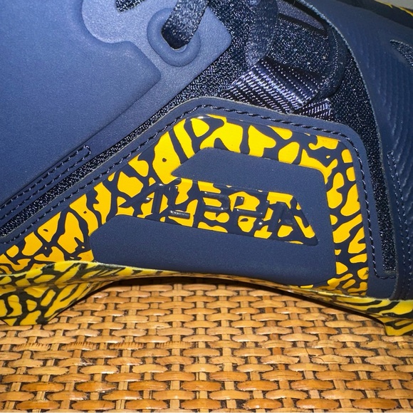 Nike Jordan Alpha Menace Pro 3 Promo Michigan Wolverines DH3368 403 Size 12 - Picture 5 of 14